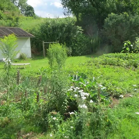 Holiday home In Ruhiger Lage In Der Naehe Zahlreicher Wanderrouten, Reitmoeglichkeit Wutha-Farnroda